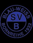 SV布劳魏斯