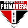 普里马韦拉青年队