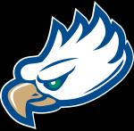 佛罗里达海湾海鹰